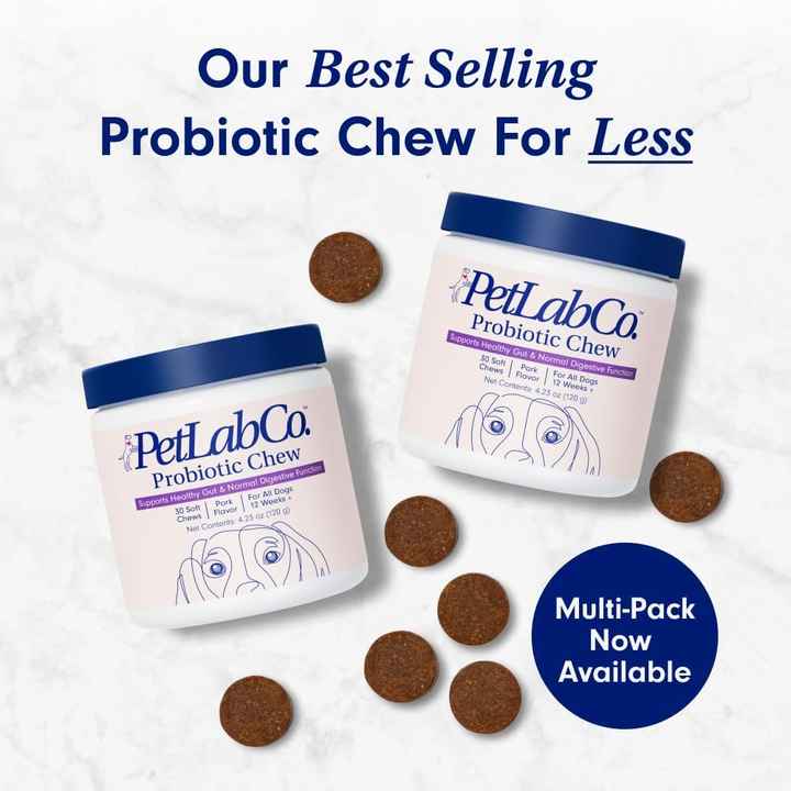 Premium Probiotic Chews for Dogs™