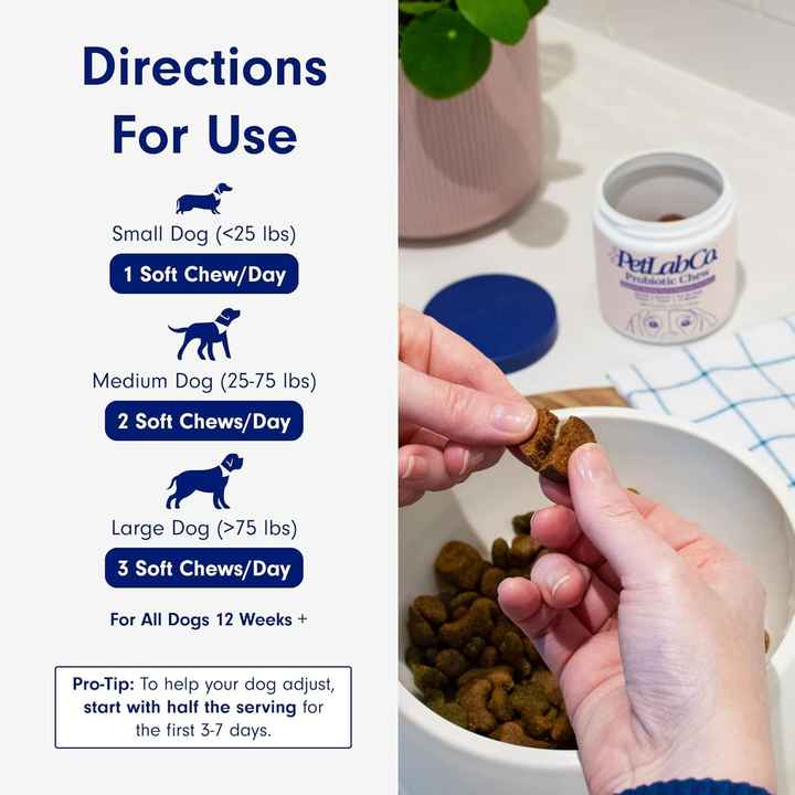 Premium Probiotic Chews for Dogs™