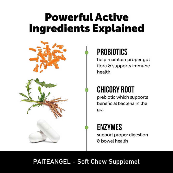 Premium Probiotic Soft Chews for Dogs™