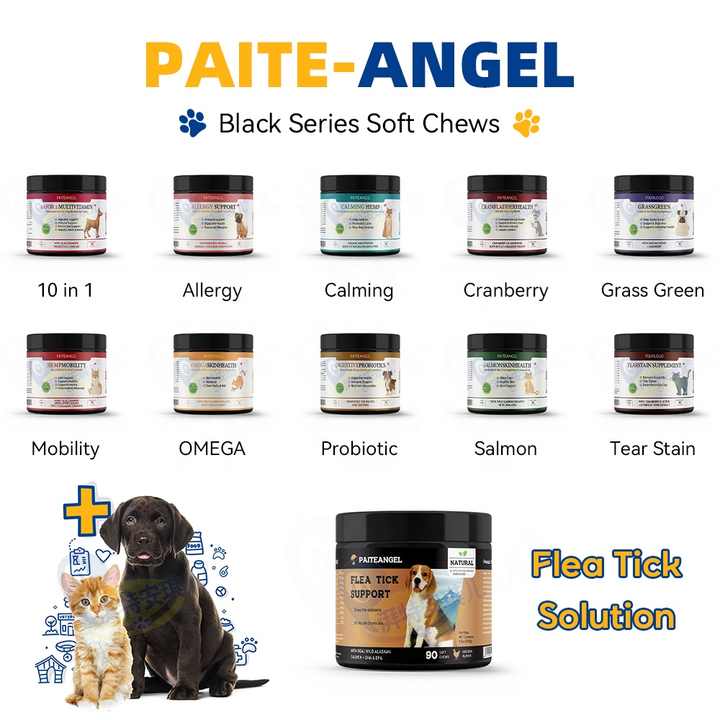 Premium Probiotic Soft Chews for Dogs™