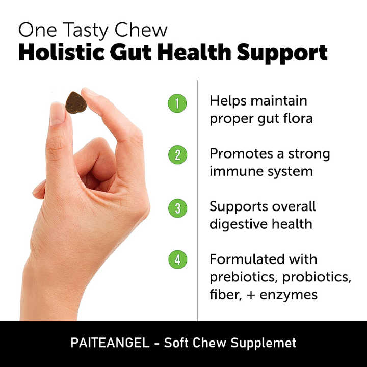 Premium Probiotic Soft Chews for Dogs™