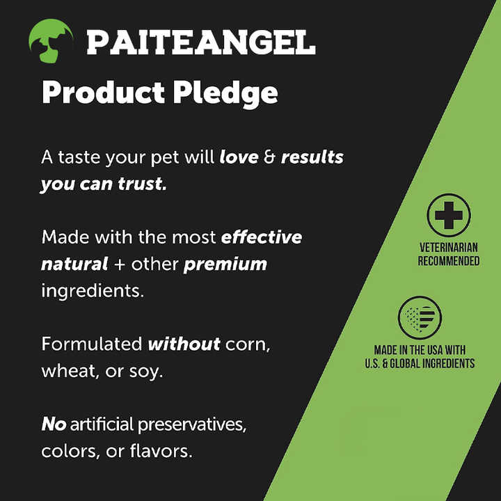 Premium Probiotic Soft Chews for Dogs™