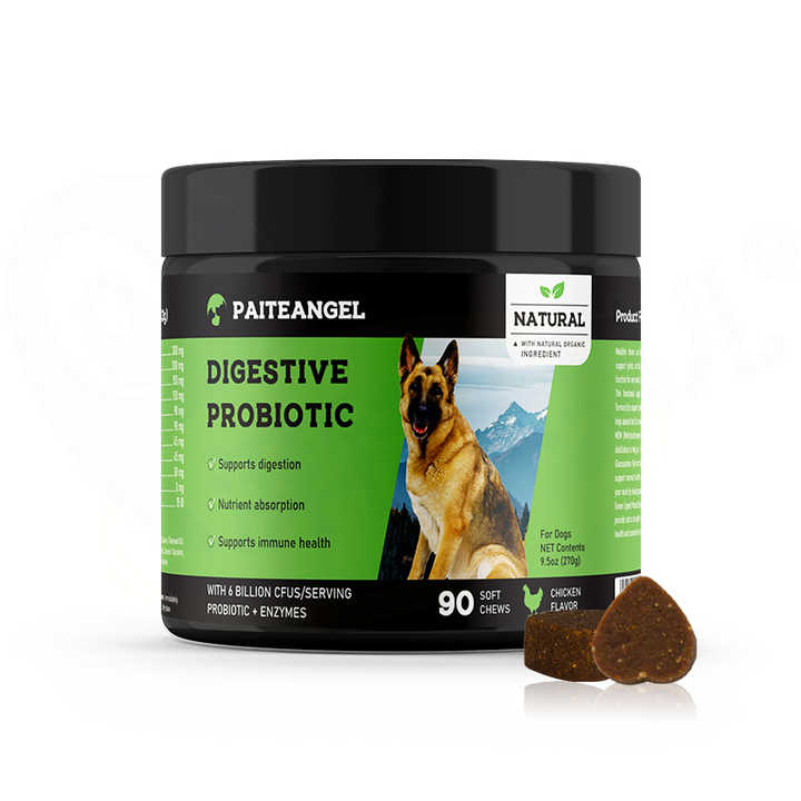 Premium Probiotic Soft Chews for Dogs™